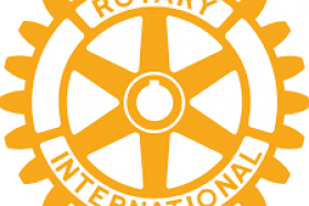 Logo du Rotary, roue jaune sur fond blanc