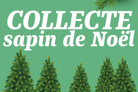 COLLECTE SAPINS 